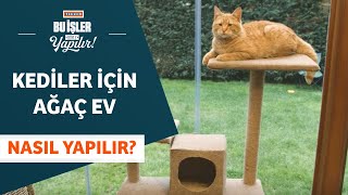 Kediler İçin Ağaç Ev Nasıl Yapılır?