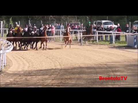 MONTICIANO 4° BATTERIA 19 APRILE 2022