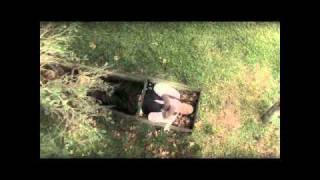 MI ELEMENTO / LUIS ALBERTO SPINETTA