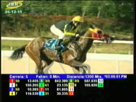 Resumen Sábado, 26 de Diciembre de 2015 - La Rinconada