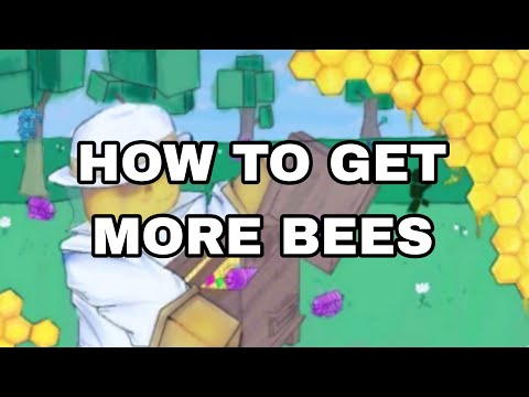HiveUP Roblox How To Get More Bees For Begginer