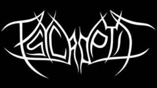 Psycroptic - An Experiment In Transience