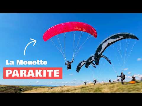 WHAT IS The Point Of PARAKITES - LittleCloud La Mouette Review vs Flare Moustache