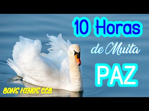 os melhores hinos de reflexão e meditação - com muita Paz - BONS HINOS CCB