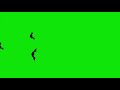 Cartoon Halloween Bats Flying through the screen on a Green Screen (HD EXCLUSIVE)