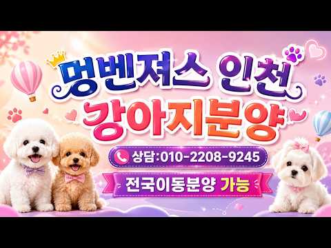 실시간 강아지분양 라이브????행복한 주말은 멍벤져스와????전…