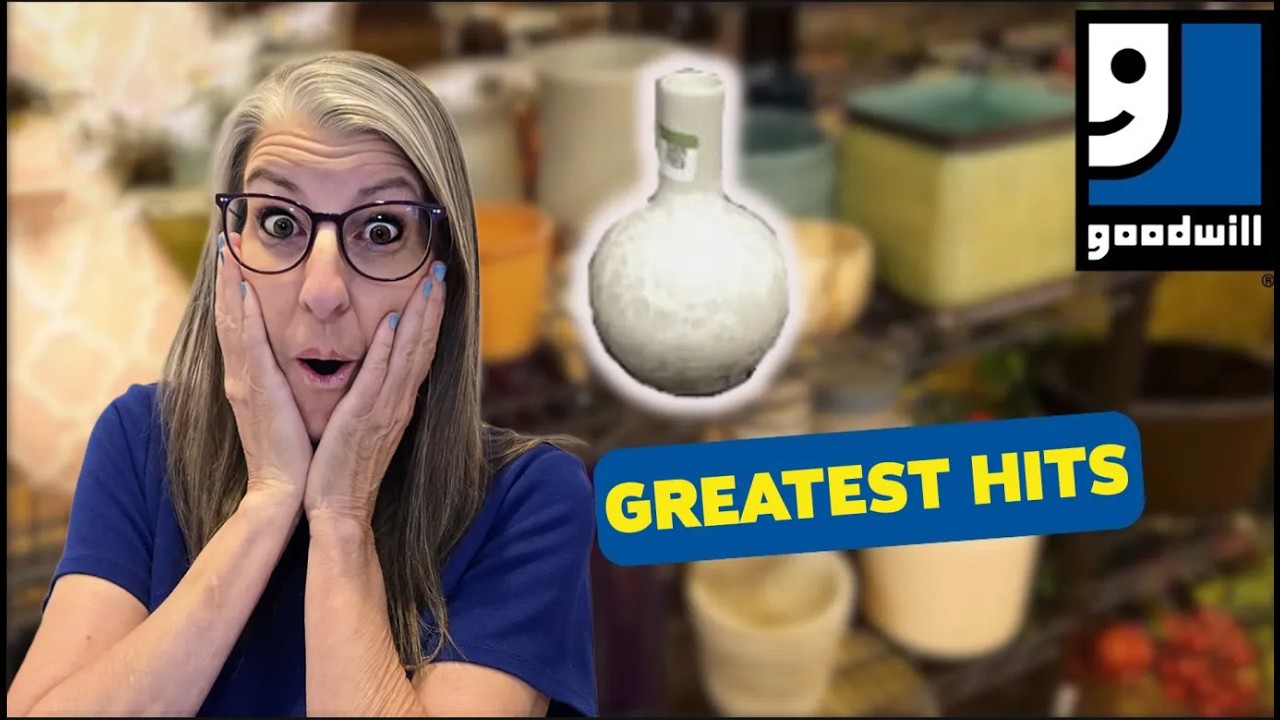 THESE GOODWILL HAULS PAID OFF | Epic Thrifting Compilation!