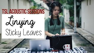 Sticky Leaves (Acoustic) - Linying | TSL Acoustic Sessions