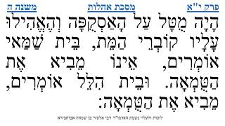 מסכת אהלות פרק י"א משנה ה