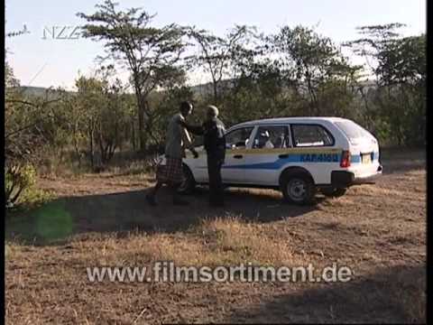 NZZ-Edition: KAMELE - PHÄNOMENALE NUTZTIERE (Schulfilm-Vorschau)