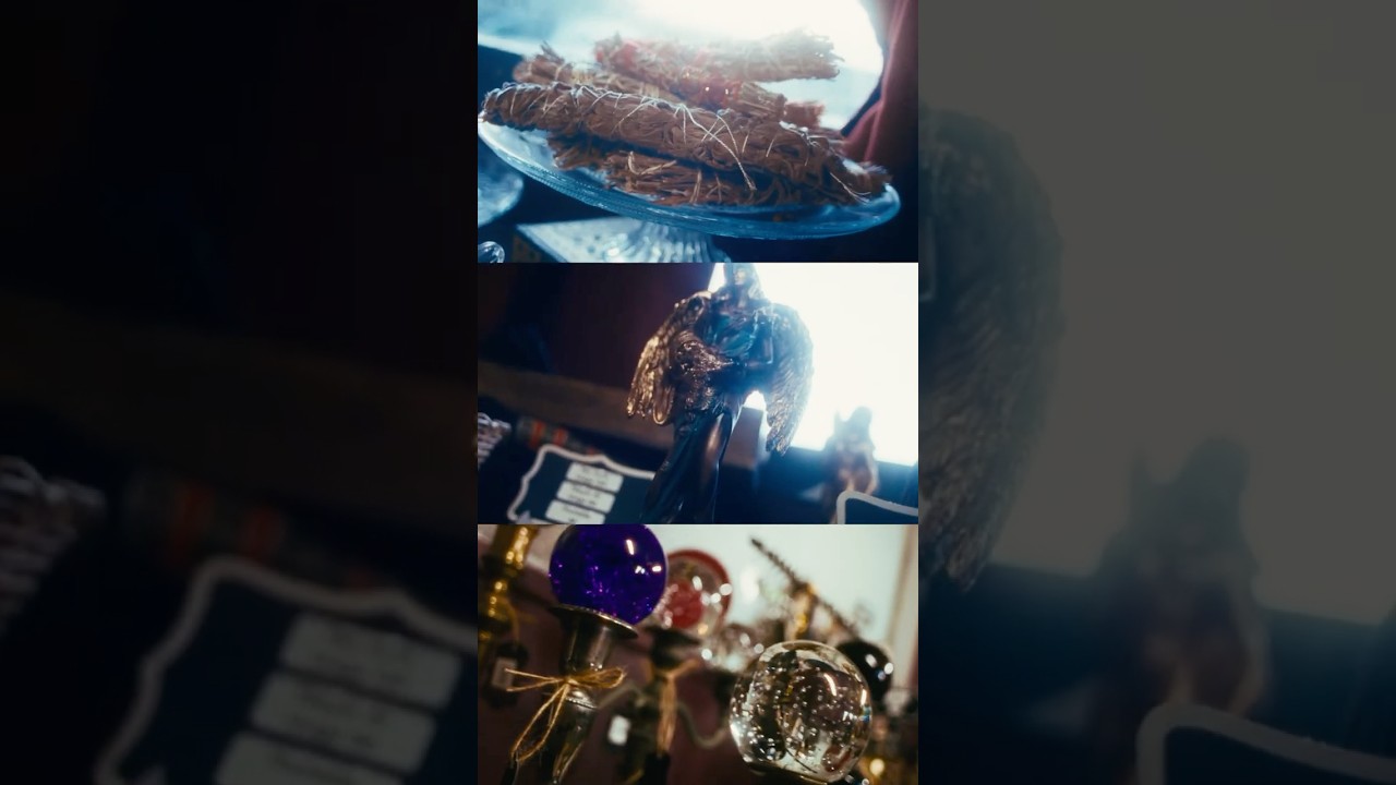 Manoire Belladoone — Aftermovie