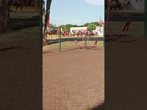 Cavaleiros passando por São Pedro do Iguaçu e indo para o Açentamento para a cavalgada de domingo.