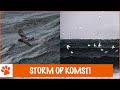 Wat doen vogels tijdens een storm? | DierenpraatTV