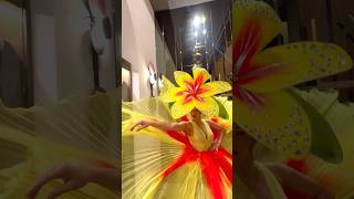 Download lagu Tropical paradise! 🌼🌸🌺 #tropicubashow #showtime #entertainment mp3