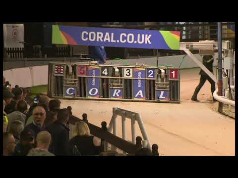 Young Princess - Coral Romford Puppy Cup Final 2019