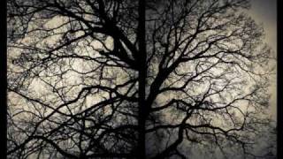 MDFMK - Hydro-Electric