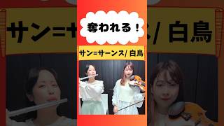 Download lagu チェロの名曲をフルートで弾いてたら、ヴァイオリニストに奪われた。シャルル・カミーユ・サン=サーンス #演奏してみた #ヴァイオリン #バイオリン #フルート mp3 Download lagu チェロの名曲をフルートで弾いてたら、ヴァイオリニストに奪われた。シャルル・カミーユ・サン=サーンス #演奏してみた #ヴァイオリン #バイオリン #フルート mp3