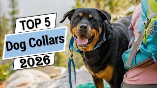 The 5 Best Dog Collars in 2026 | Best Dog Collars Buying Gui