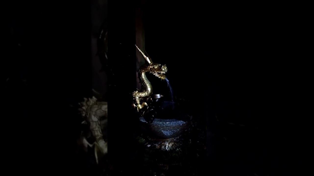 Golden Dragon Water at Night | Japan