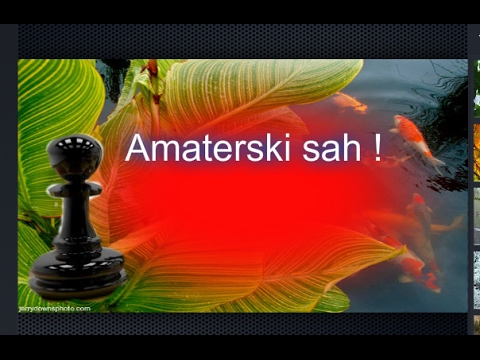 Komentar partije amaterskog šaha -  Milan Marsenić  # 1006