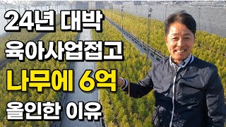 연매출 40억 포기하고 수도권에 나무도매시장 차린 사연