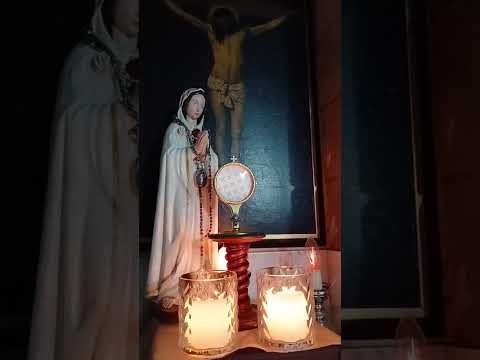 Adoración al Santísimo Sacramento del Altar con el Padre Fabian Esteban Oliva. 28/05/26
