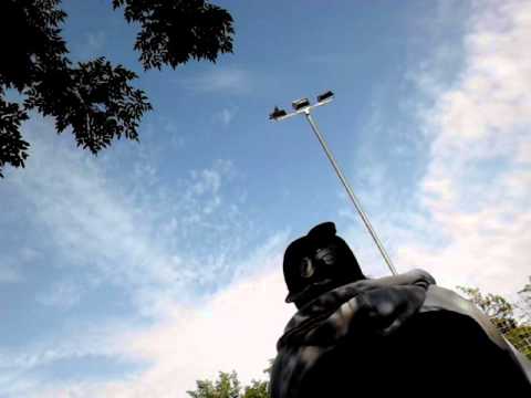 panchok vs nfx// la madriguera ecritas