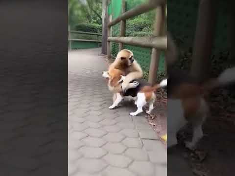 A Bond That Can’t Be Explained 💖