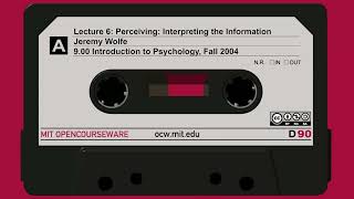 6. Perceiving: Interpreting the Information (audio only)