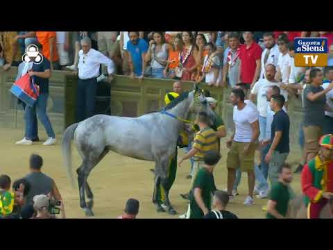 Dress rehearsal - Palio di Siena, August 16, 2025
