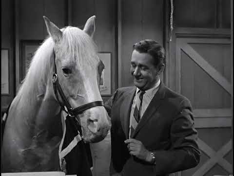 Mister Ed Episode 13 (Season 3) – Horse of a Different Color
