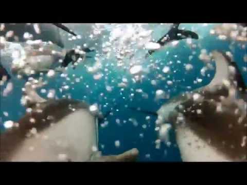 Joel Kanning - One World