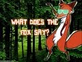 Animal Jam- What Does The Fox Say 