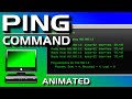 PING Command - Troubleshooting Networks