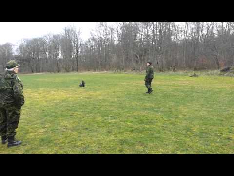 Jabina Fido - shooting