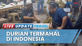 Musang King Lewat! Super Tembaga Klamunod Jadi Durian Termahal di Indonesia dari Bangka Barat