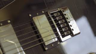 Video thumbnail for ESP LTD BW1 FM ET Ben Weinman Signature See Thru Black by GearTalk