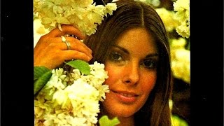 33-1/3 RPM - Maggie's Mixture - Alan Caddy - With A Little Help From My Friends