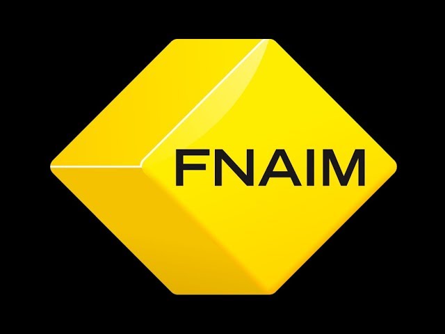 Média de Imméa - n°5