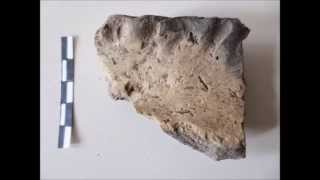 Archeologie in Nederland -  Prehistorische kunst