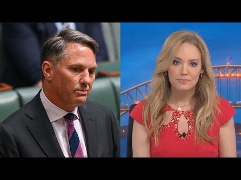 ‘Terrible look’ for Labor: Richard Marles slammed for $16k flight to see Matildas game