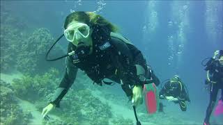 Sharm el Sheikh scuba diving "Oktopusas" 2017