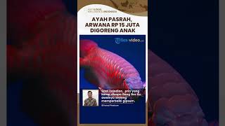 Viral di Medsos Ikan Arwana Seharga Rp15 Juta Digoreng 2 Anaknya, Ayahnya Kaget & Pasrah meski Geram