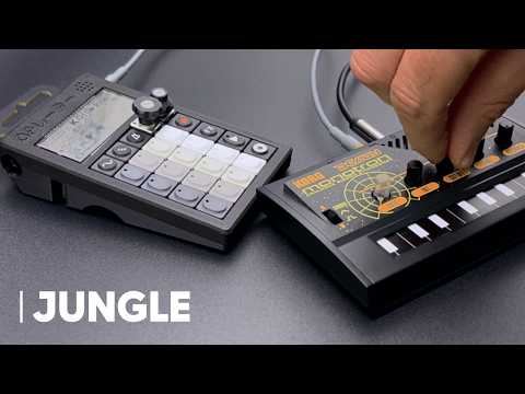 Tiny Setup, HUGE Sound: Jungle with the PO-33 KO! + Monotron Delay