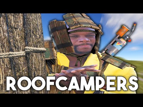 I went deep on my roofcamping neighbors...