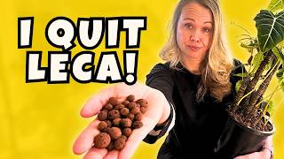 The Truth About My Alocasia in LECA (after 2 years)