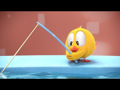 Is That a Big One? | Where's Chicky? | Cartoon Collection in English for Kids | New episodes