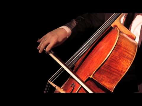 J.S. Bach Suite for Solo Cello no. 6 in D major, BWV 1012 Sarabande by Matt Haimovitz