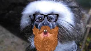 Być albo nie być oto jest pytanie