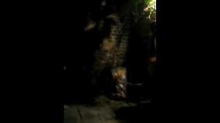 Amy Winehouse trying to open the door